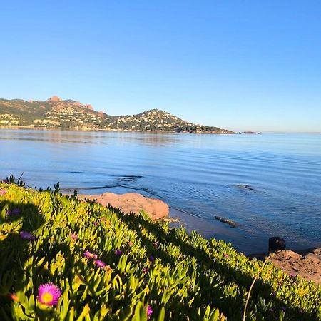 Saint-Raphaël Vacances En Paradis מראה חיצוני תמונה