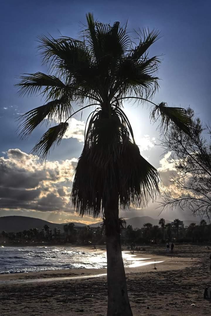 Vacances En Paradis Saint-Raphaël מראה חיצוני תמונה